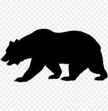 California Bear Outline California Bear Transparent Png Image With Transparent Background Toppng University of california, berkeley california golden bears women\'s basketball california golden bears football california golden bears baseball, bear transparent background png clipart. california bear transparent png image