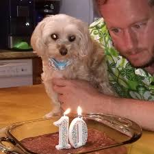 Dan Arnett (@dapperdanarnett) • Instagram photos and videos