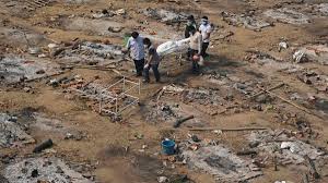 El creciente número de infecciones por el hongo negro se ha sumado a la preocupación por la pandemia en la india, que el pasado lunes cruzó la barrera de los 300.000 muertos y registró más de. Que Es El Potencialmente Mortal Hongo Negro Hallado En Pacientes Con Covid En India