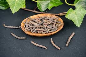 Image result for Xylopia aethiopica