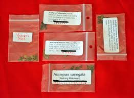 Winter Sowing Milkweed Seeds Part 1 Supply Checklist Milkweed Plant Seeds Butterfly Plants