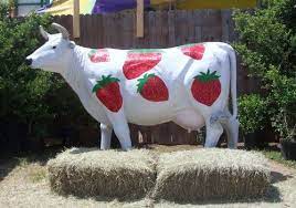 Strawberry Cows Forever So This Is Where Strawberry Milk Comes From Cow Strawberry Milk Goats