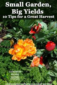 With so many plants growing in a small space, it leaves less room for weeds and is much easier to water and fertilize. Small Garden Ideas 10 Tips To Grow More Food In Less Space
