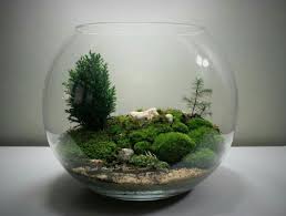 74e956e62ac971ccadb3b7a546658922 Jpg 1200 907 Garden Terrarium Miniature Garden Mini Garden