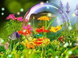 Wallpaper nature wallpaper nature flowers nature flowers flowers wallpaper nature landscape cute. Gulce Gulce On Twitter Wallpaper Nature Flowers Spring Flowers Wallpaper Flower Wallpaper