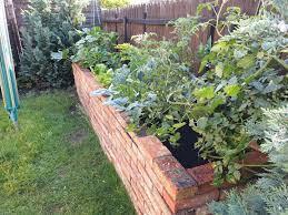 Der ideale zeitpunkt, um hochbeete zu bauen, ist der herbst. Hochbeet Aus Ziegelsteinen Selbst Bauen Mauern Hochbeet Ziegelsteine Hochbeet Mauern