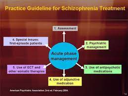 About a quarter of young people with schizophrenia who get treatment get better within six months to two years, research has. True Life Treatments In Schizophrenia Emotion Brain Behavior Laboratory