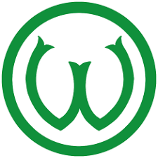 This is logo of warta poznań, polish football club. Kubek Ks Warta Poznan Kubki W Highking