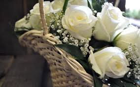 We have an extensive collection of amazing background images carefully chosen by our community. Beautiful Basket Of White Roses Desktop Background Wallpapers Hd White Roses Wallpaper White Roses Rose Wallpaper