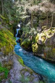 The trail of the cedars begins across from the avalanche campground ranger station. The 12 Best Hikes In Glacier National Park Roaming The Usa