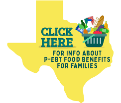 You could be held liable for purchases made before the card is reported lost or stolen, which would reduce your benefit for the month. P Ebt Resources