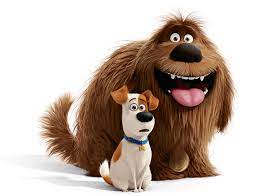 Duke The Secret Life Of Pets Pets Movie Secret Life Of Pets Secret Life