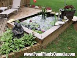 Build A Garden Pond Right Off Your Patio Deck Water Garden Looks Amazing Ponds Backyard Backyard Water Feature Backyard