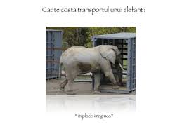 Afla cat cântărește un pui de elefant. Romanian Sales Conference 2014