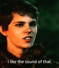 The Child Thief by Brom