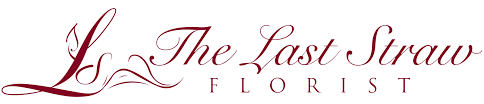 Get directions, reviews and information for just because flowers in san antonio, tx. Just Because Flowers Delivery San Antonio The Last Straw Florist