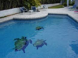 Turtle Jpg 800 600 Outdoor Small Backyard Pools Swimming Pools