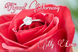Thanks for being a wonderful son to me. 151 Good Morning Romantic Red Rose Images And Pics Best Status Pics