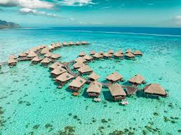 Image result for Mohria