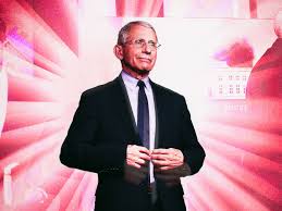 Create, crop, resize, reverse, optimize and split animated gifs, cut and resize videos, webp and apng. In Dr Fauci We Stan The Coronavirus Leader Has Become A Beloved Meme The Verge