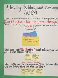 Activating Building And Revising Schema Reading Anchor