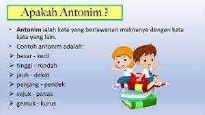 Misalnya, dara, gadis, dan cewek; Sinonim Dan Antonim Youtube