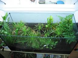 Check spelling or type a new query. Aquarium Was Damit Machen Tiere Pflanzen Ideen