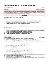 Cv format pick the right format for your situation. Resume Objective Examples For Students And Professionals