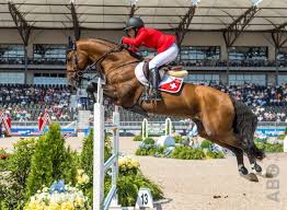 Das komplette ergebnis aus stockholm gibt es hier. Hendrik Von Eckermann Stelt King Edward Veilig Voor Zijn Vriendin Janika Sprunger Horses Nl