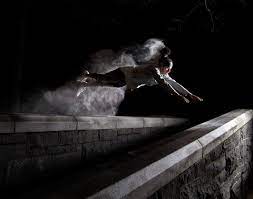 the beauty of parkour photographed with a flash and some flour parkour parkour girl action photography