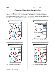 Identify the type of solution (hypertonic/hypotonic/isotonic). Osmosis And Diffusion Worksheet Osmosis Molecular Biology