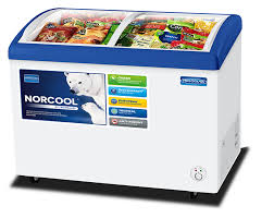 List of top selling godrej refrigerators godrej 255l is one of the top selling refrigerators in india. Norcool Fh1d 230