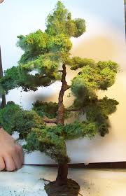 Miniature Canarian Pine Large Tree Minyatur Bahceler Bonzai Agaci Agac