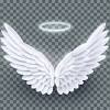 Pair of beautiful white angel wings isolated on transparent background, 3d realistic illustration. 1