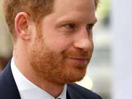 Prince Harry's Friend 'Punished' Over Advice On Meghan Markle Romance, Book  Reveals