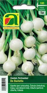 150 seeds please note that germination rates for alliums. Austrosaat Pearl Onions De Barletta 1 Package Bloomling Uk