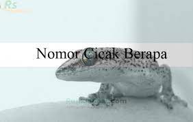 Silat 02 kodok masuk dalam ruma. Kode Alam Togel Kejatuhan Tokek