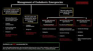 Immunosuppressant drugs are a class of drugs that suppress, or reduce, the strength of the body's immune system. Hibah Al Ahmadi Alahmadiheba Twitter