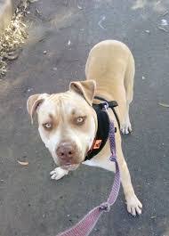 Ariana Erickson's Instagram, Twitter & Facebook