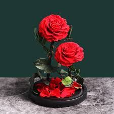 Such as in our collection of. The Beauty And The Beast Real Flowers 3 Flower Heads Rose Forever Love Wedding Party Gifts For Rose In A Glass Dome Mother S Day Artificial Dried Flowers Aliexpress