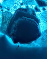 A lot of means a large number of amount. Must Go Diving Mustgodiving Profile Pinterest