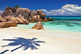 Fotografen und naturliebhaber aus aller welt finden hier motive und landschaften die es so nirgendwo sonst gibt. Sansibar Zanzibar Urlaub Afrika Travel Reisen In Und Nach Afrika