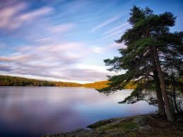 If you're in search of the best nature wallpaper 1920x1080, you've come to the right place. Wallpaper Sweden Lake Trees Nature Landscape 2880x1800 Hd Picture Image