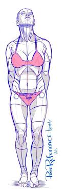 Wide thighs for jumping, abdomen and arms for gymnastics and wrestling. Pin On Zeichnen