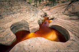 The Eyes Of Phantom Valley Zion National Park National Parks Popular Photography