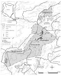 Image result for Thecacoris spathulifolia