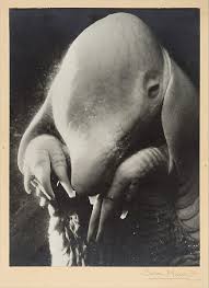 Beau pere filmini full hd 720p izle. Dora Maar Pere Ubu The Metropolitan Museum Of Art