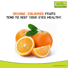 Within each category, there are individual compounds that may contribute to various aspects of human health, also known as phytochemicals.these compounds can work synergistically to promote overall health, so remember to eat across the categories for the most benefit! Orange Coloured Fruits Tend Little Laureates Pre School Facebook