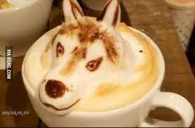F1, rally, motorbikes, modified or personal drop a pm if you are intrested in. Doge Coffee 9gag