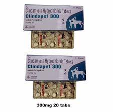 Clindapet 30ml 150mg 300mg Clindamycin Antibiotic For Dogs Cats Loyalpetzone